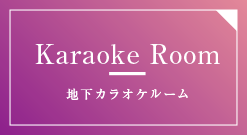 Karaoke Room 地下カラオケルーム